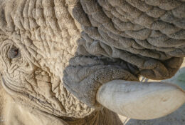 Namibia_August (42/135)